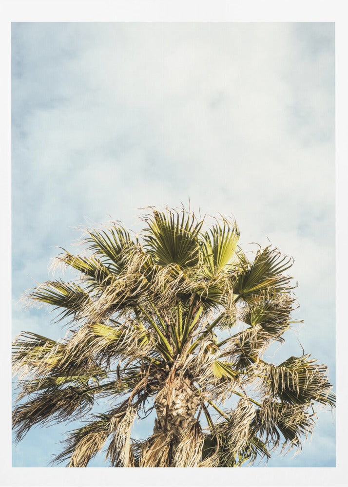 Solbelysta fronter | Poster