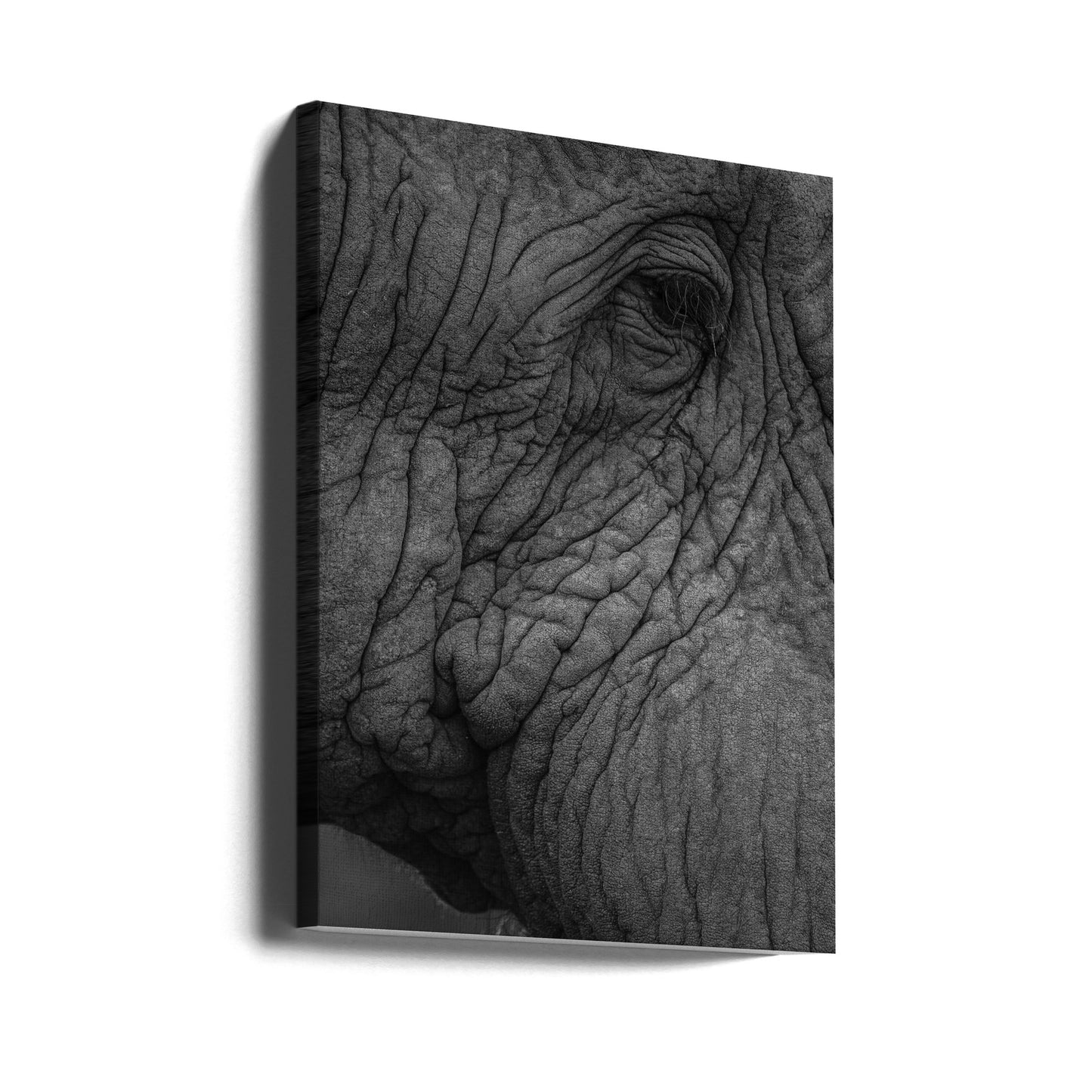 Elefant 01 | Leinwand-Bilder
