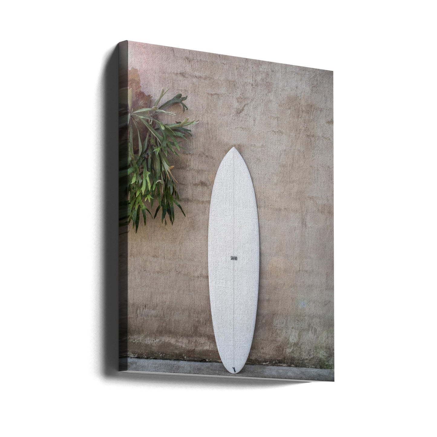 Safari Twinfin | Leinwand-Bilder