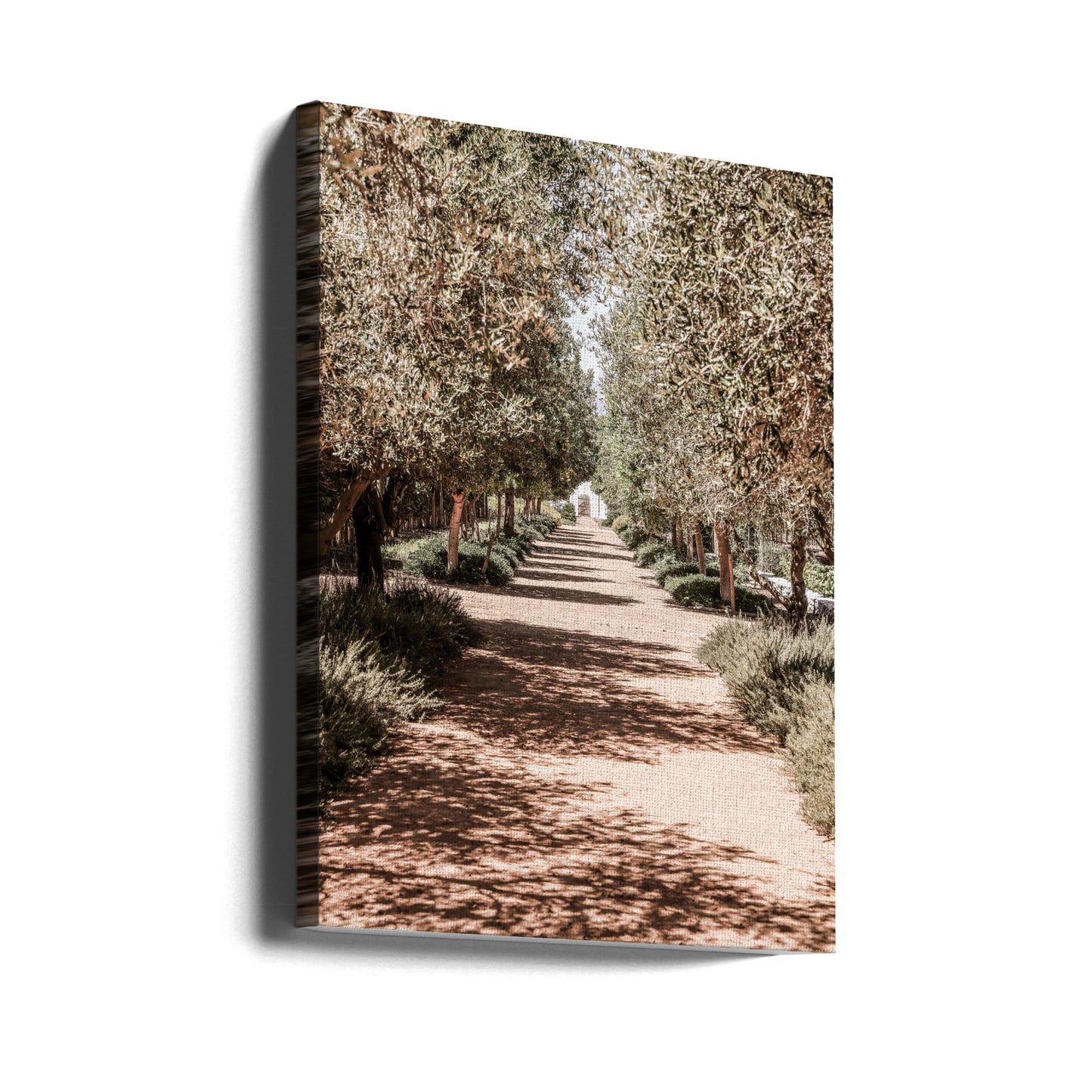 Secret Garden | Canvas
