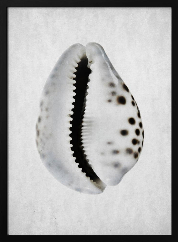 Springflut | Poster