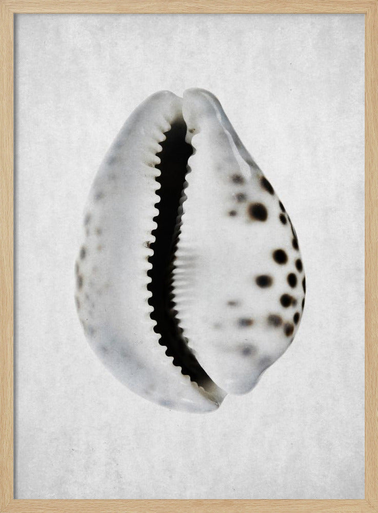 Springflut | Poster