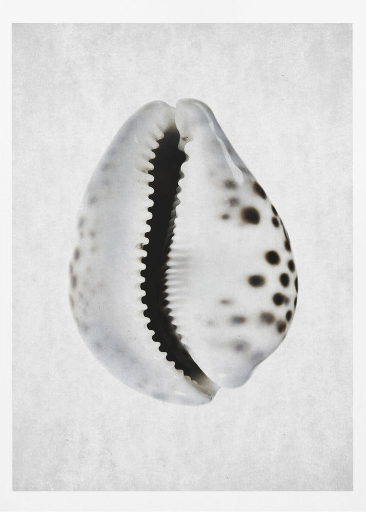 Springflut | Poster