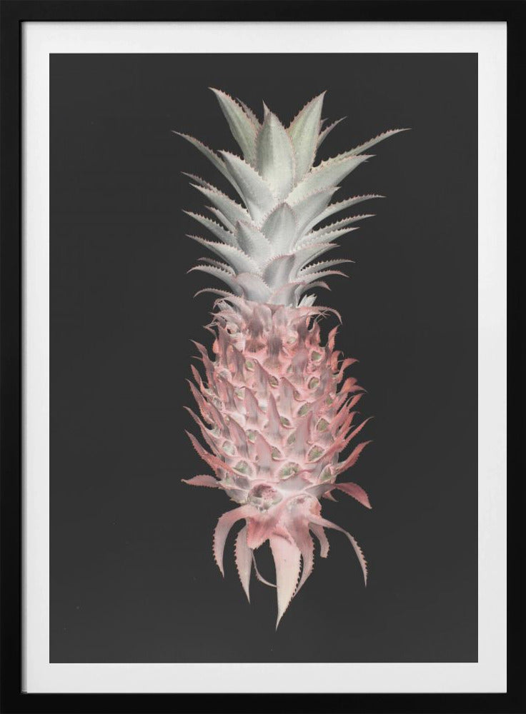 Erdbeerkiefer | Poster - Kunstdruck