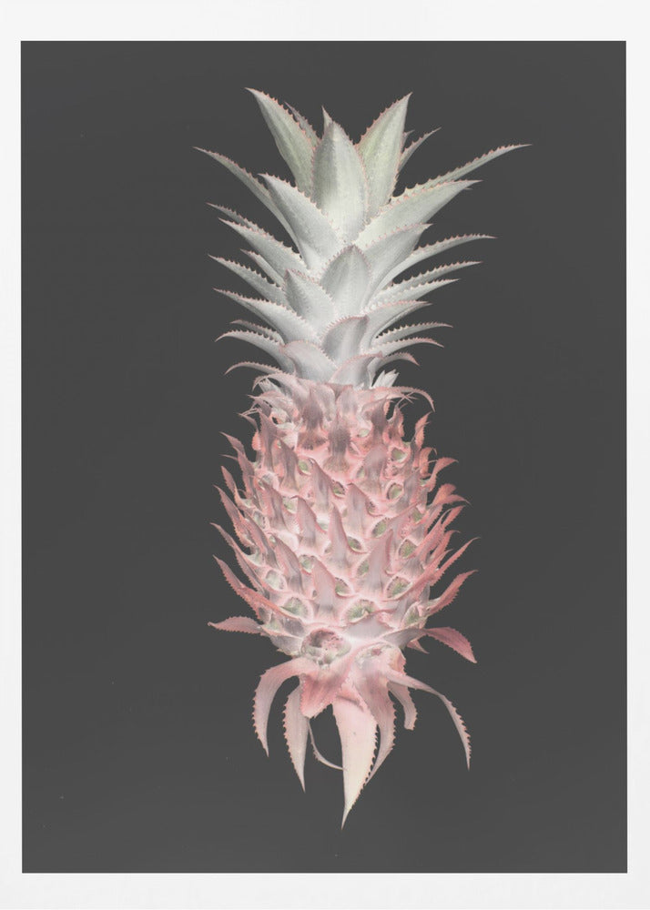 Jordgubbs- och tall | Poster