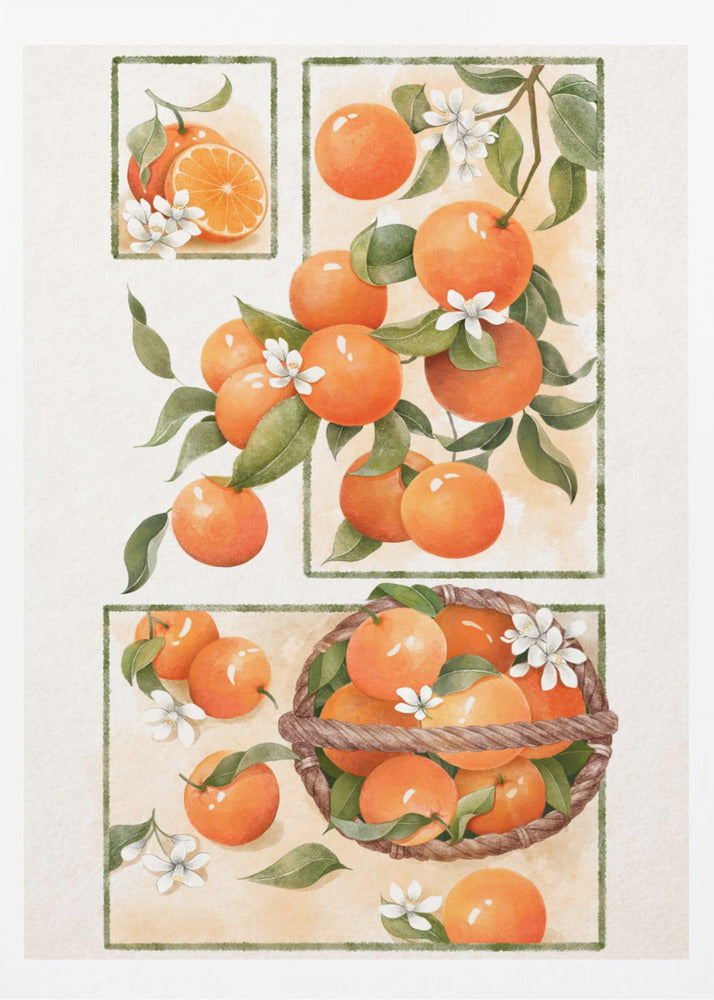 Apelsinblomma | Poster