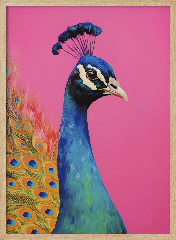Beautiful Peacock | Poster
