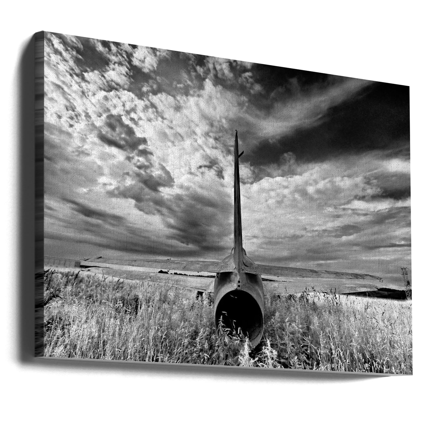 Tail | Canvas