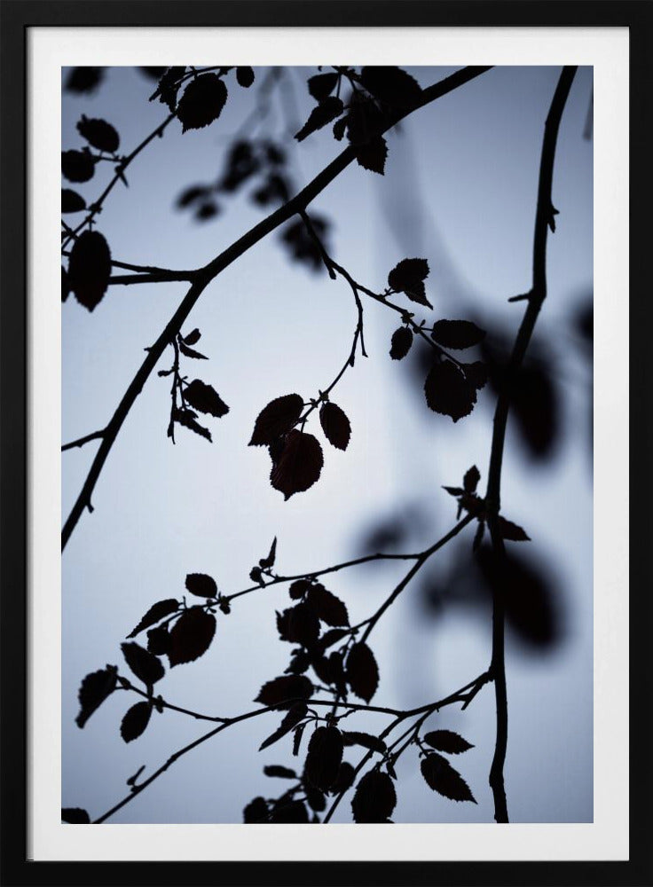 Gryningens gryning | Poster