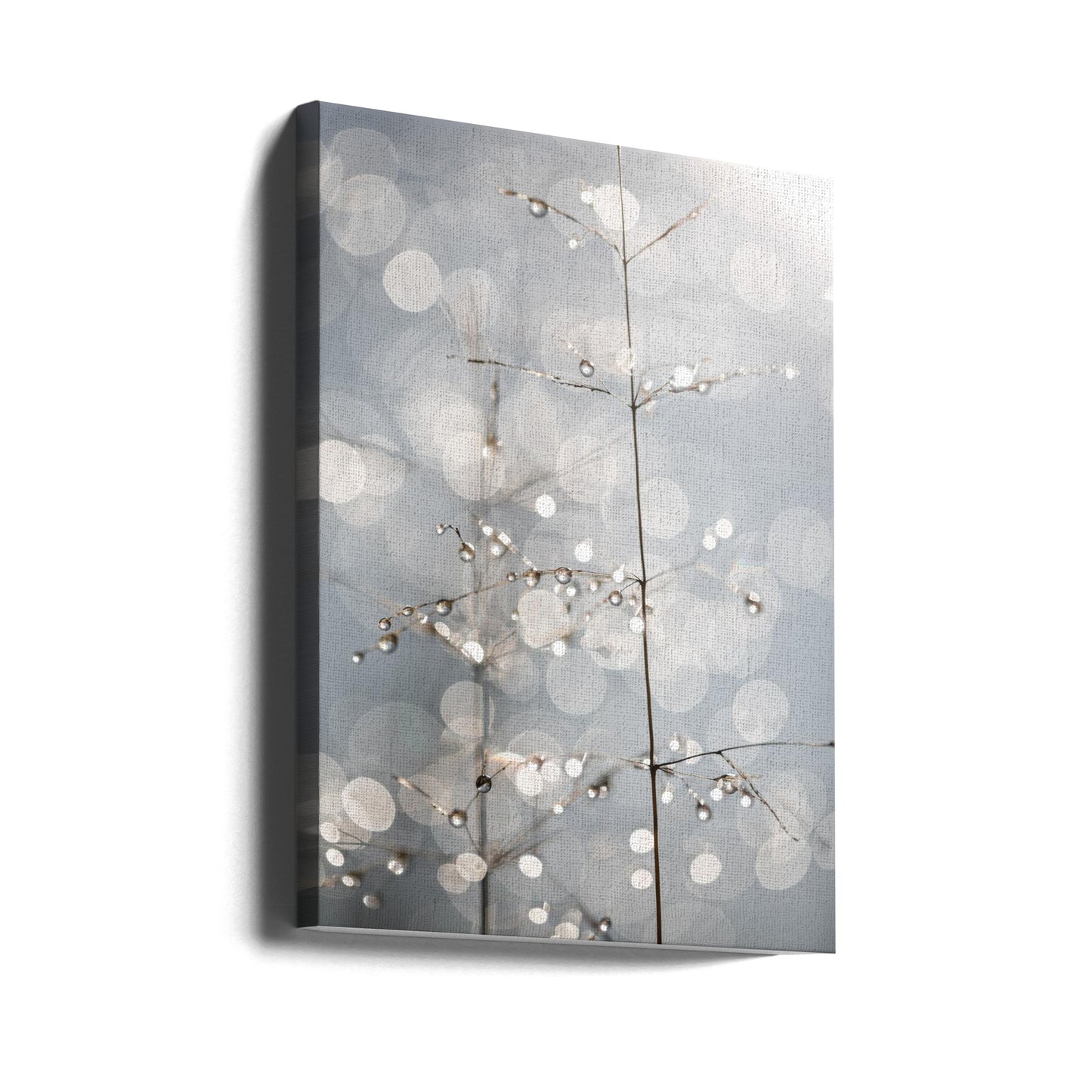 Natural Sparkle | Canvas