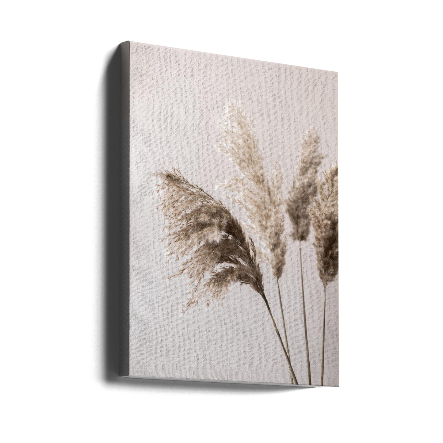 Grass 24X | Canvas