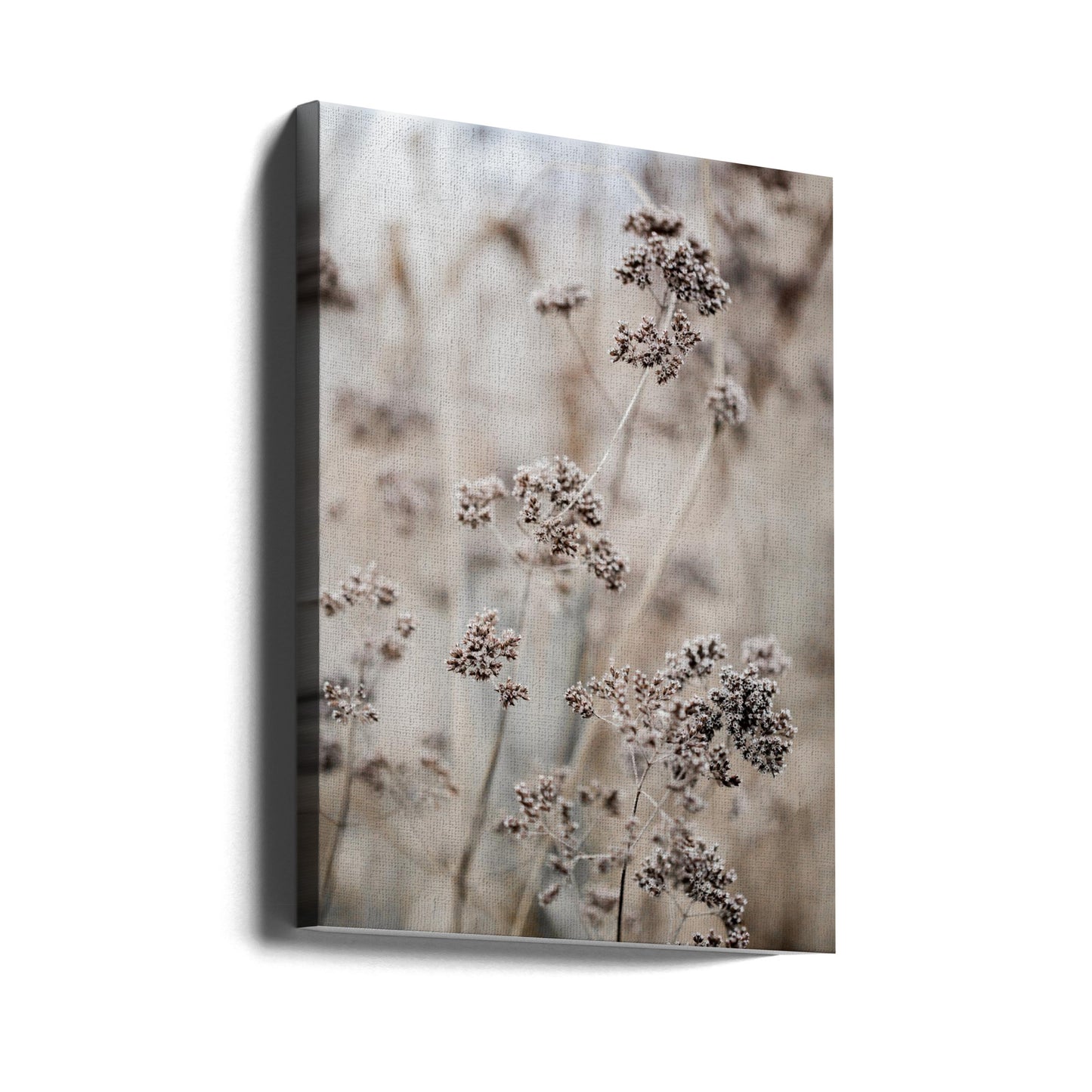 Okänd 8 | Canvas