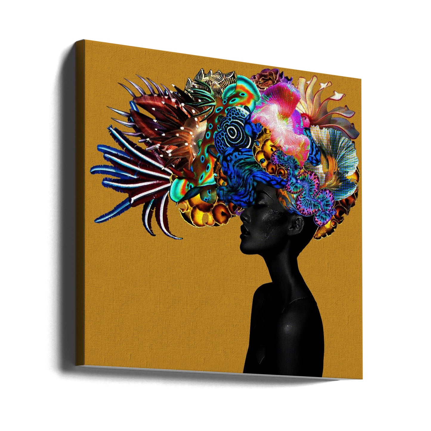 Kronande ära II | Canvas