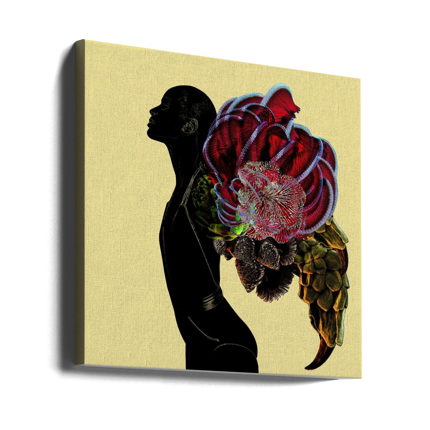 Fenix | Canvas