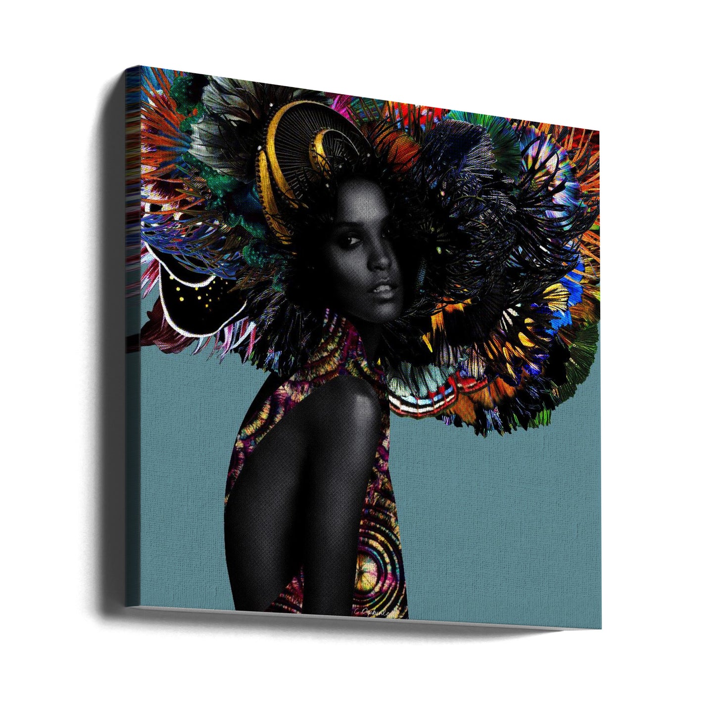 Iansa | Canvas