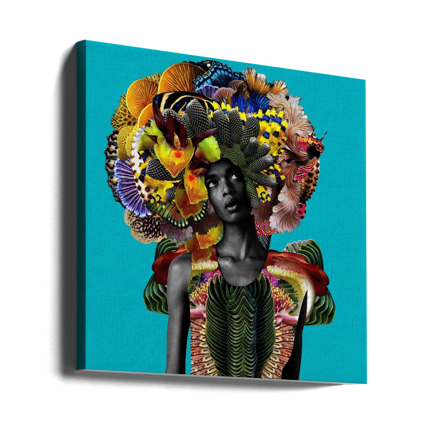 Hari | Canvas