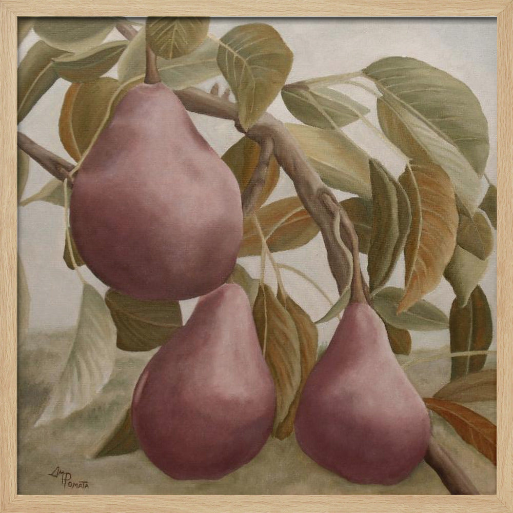 Max Red Bartlett Päron | Poster