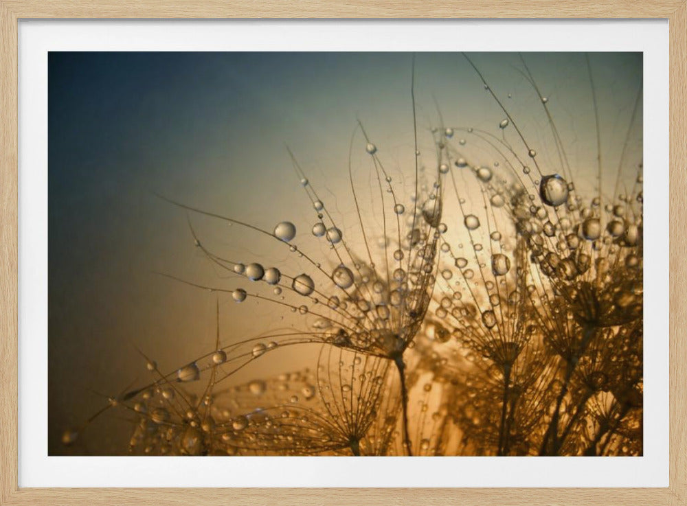 Ömt är natten | Poster