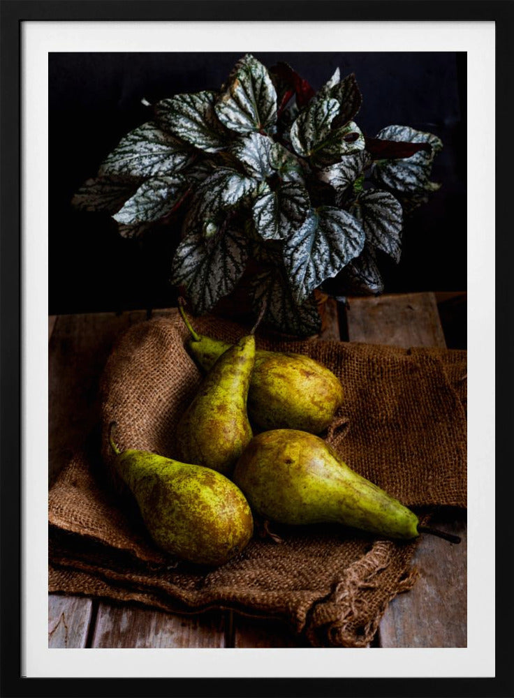pears | Poster