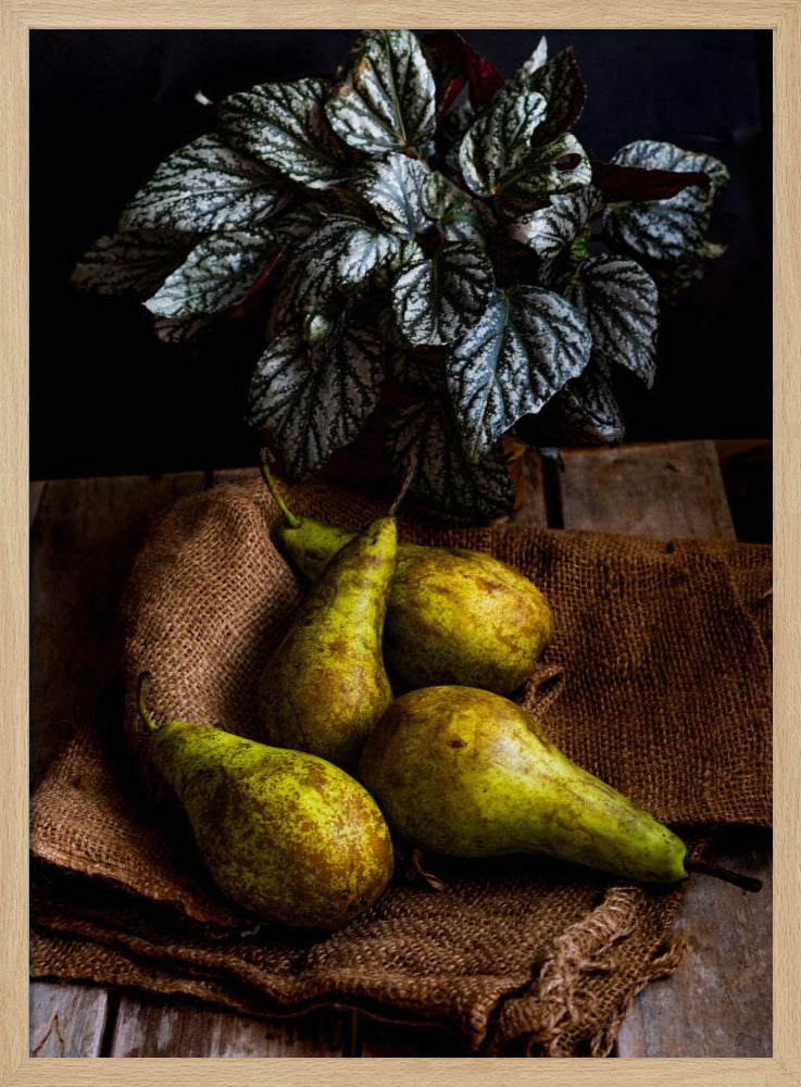 pears | Poster