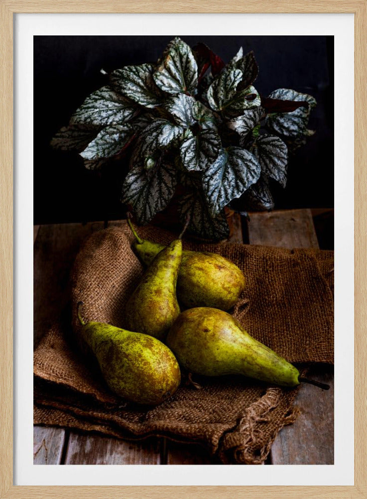 pears | Poster