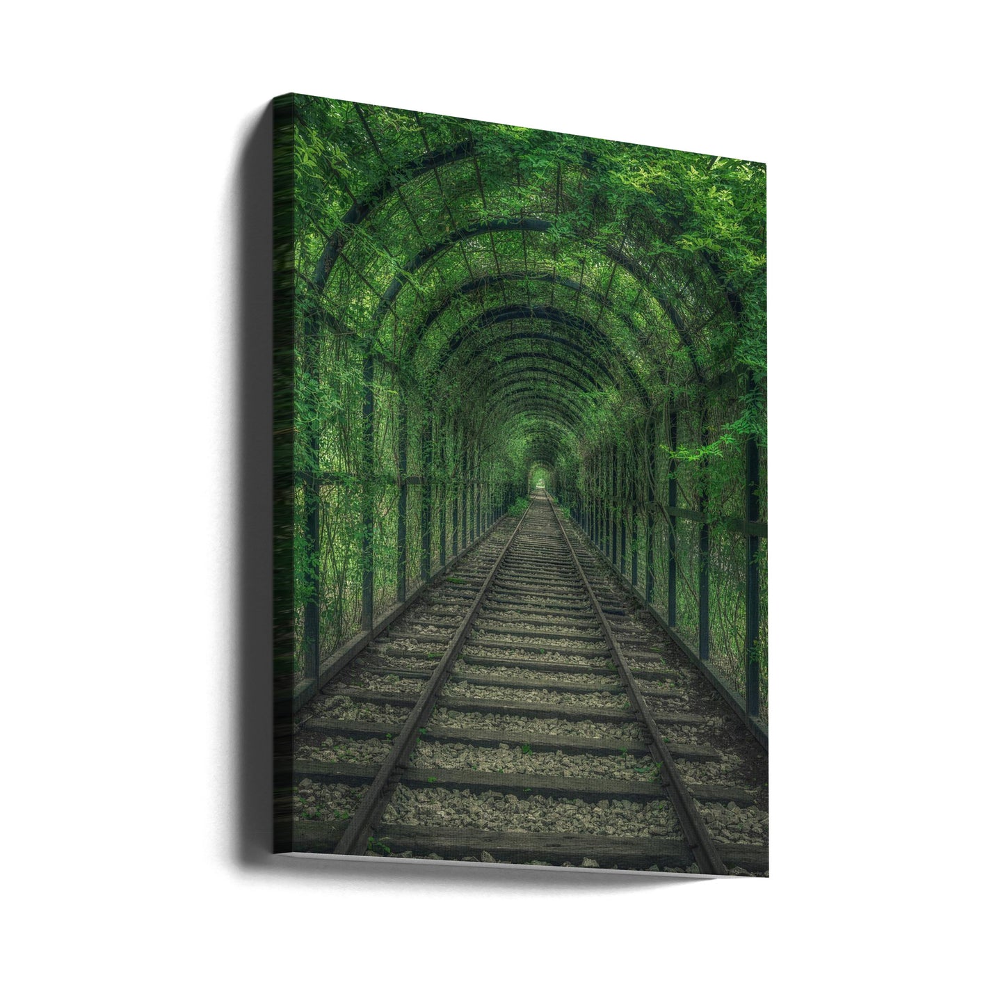 Túnel Verde | Impresiones en Lienzo
