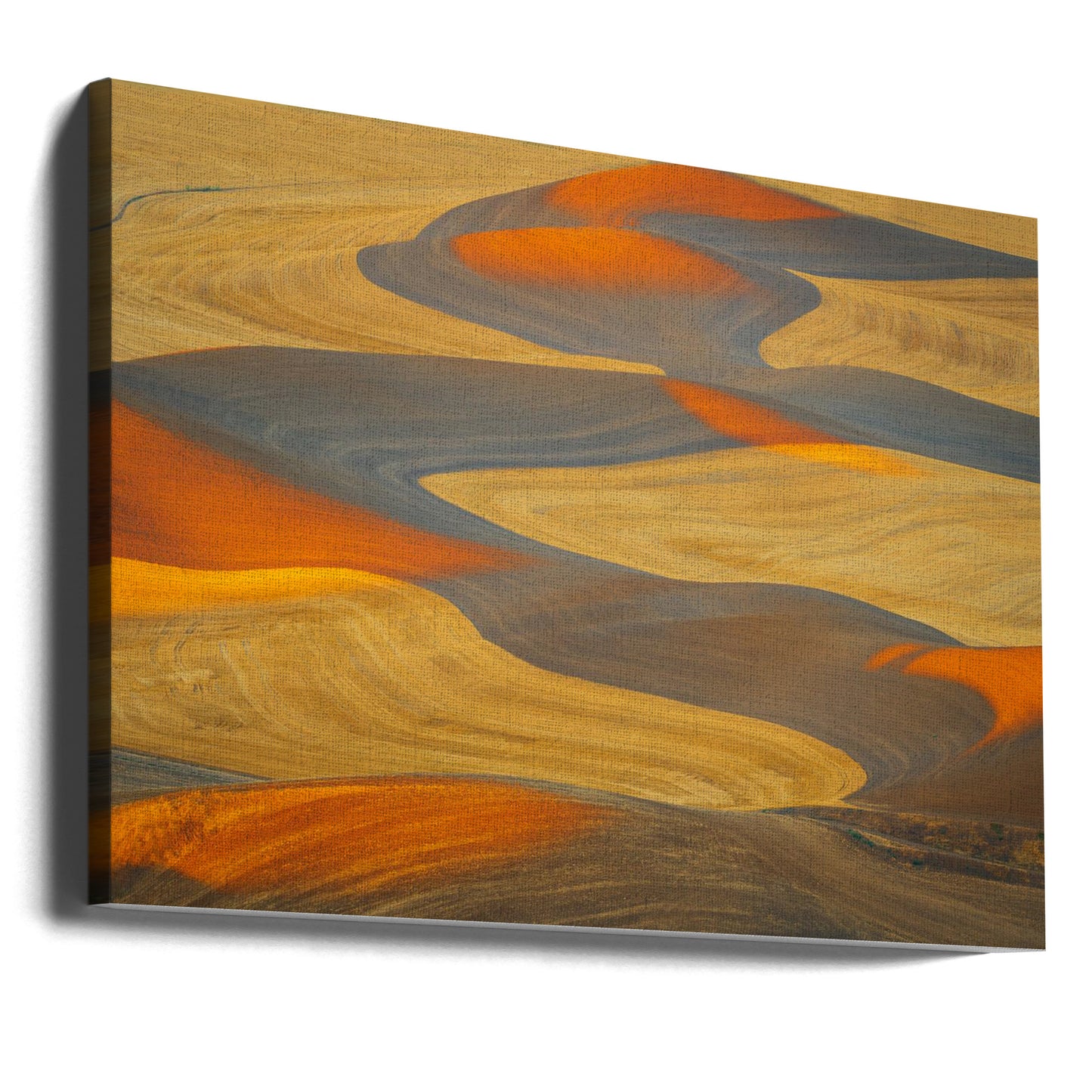 Painted Land | Canvas