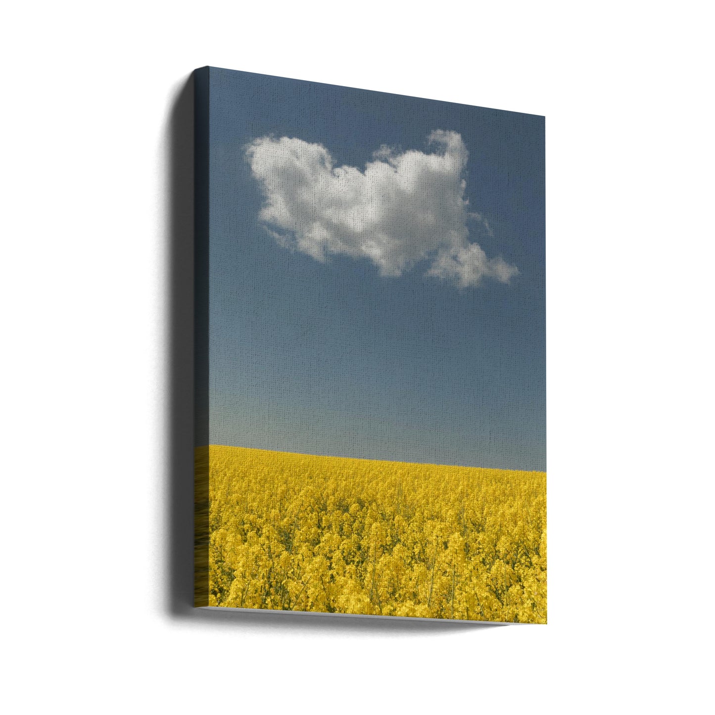 Vision | Canvas
