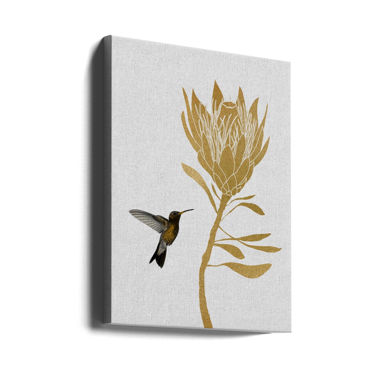 Kolibri & Blomma I | Canvas