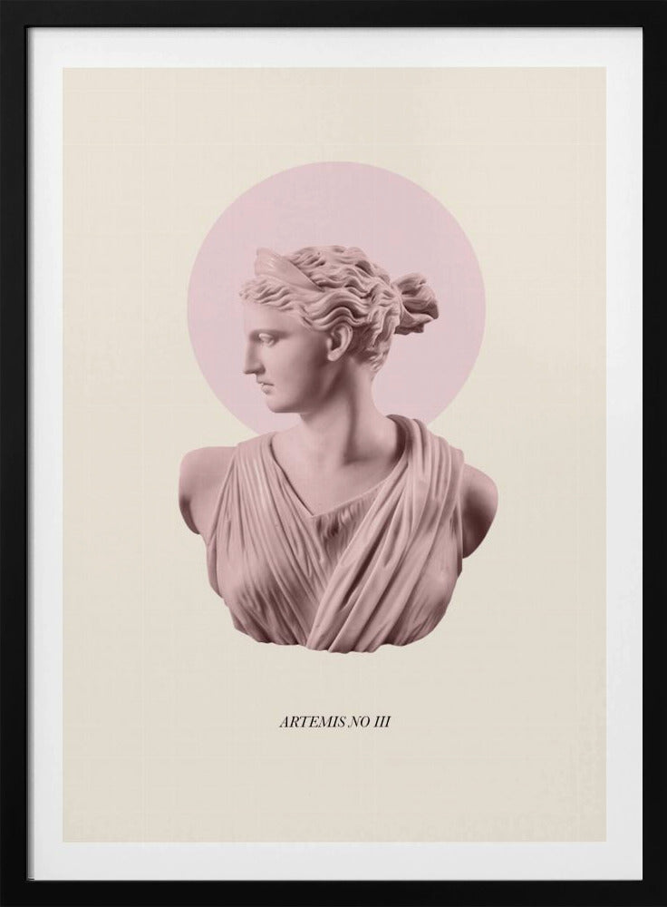 Rosa Artemis med gloria | Poster