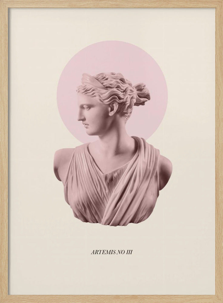Rosa Artemis med gloria | Poster