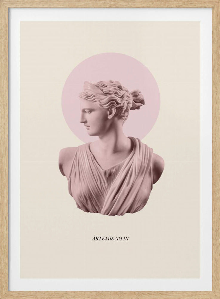 Rosa Artemis med gloria | Poster
