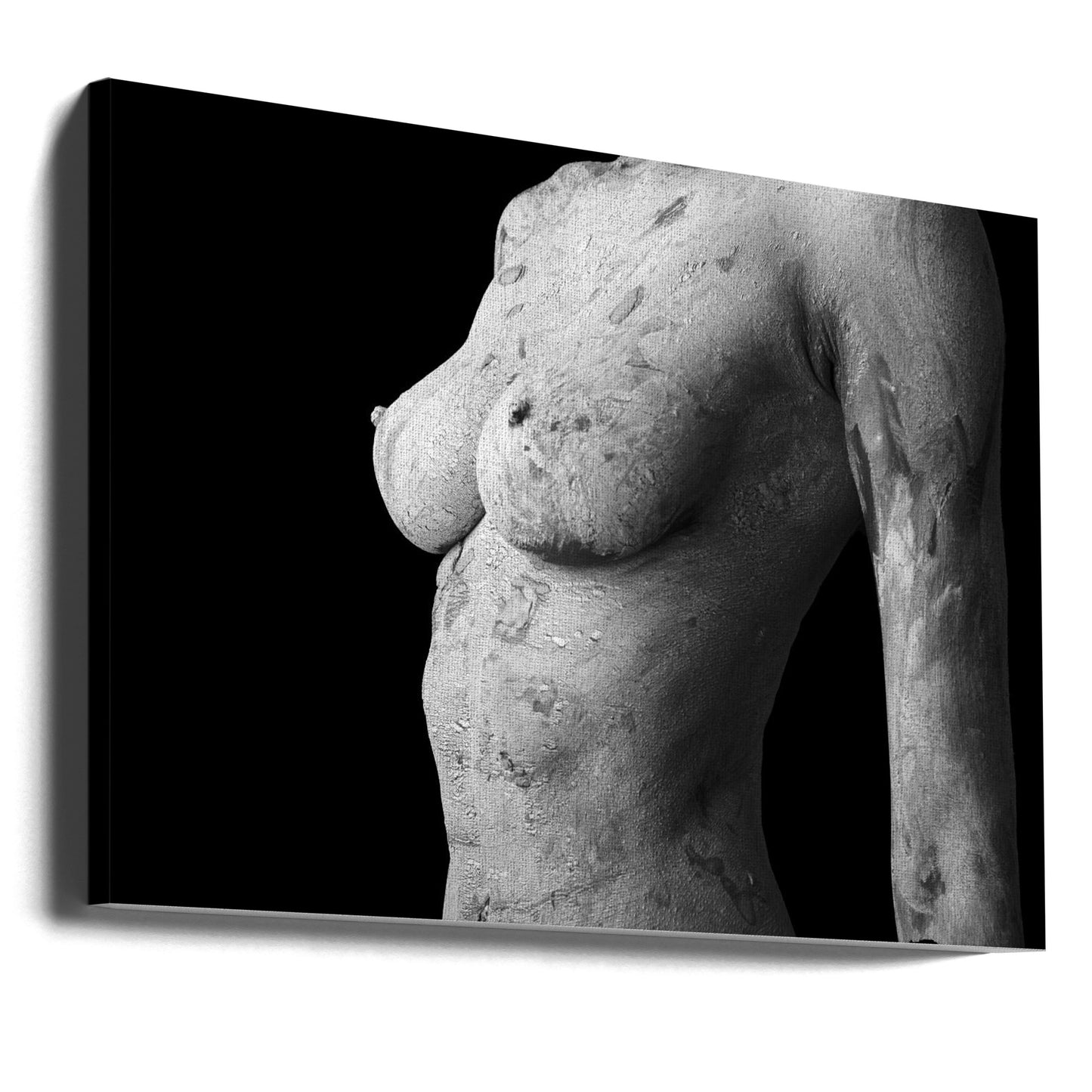 Aberrant Beauty | Canvas