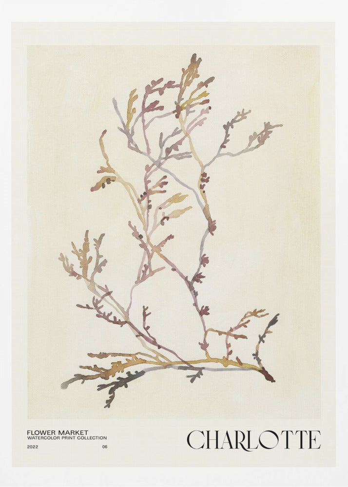 Akvarelltrycksamling. Blomstermarknad - Charlotte | Poster