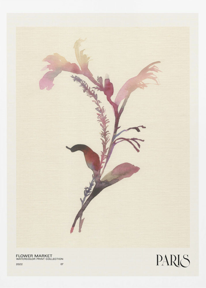Akvarelltrycksamling. Blomstermarknad - Paris | Poster