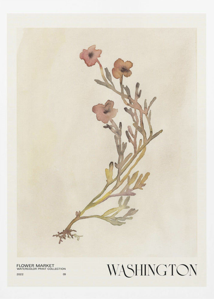 Akvarelltrycksamling. Blomstermarknad - Washington | Poster