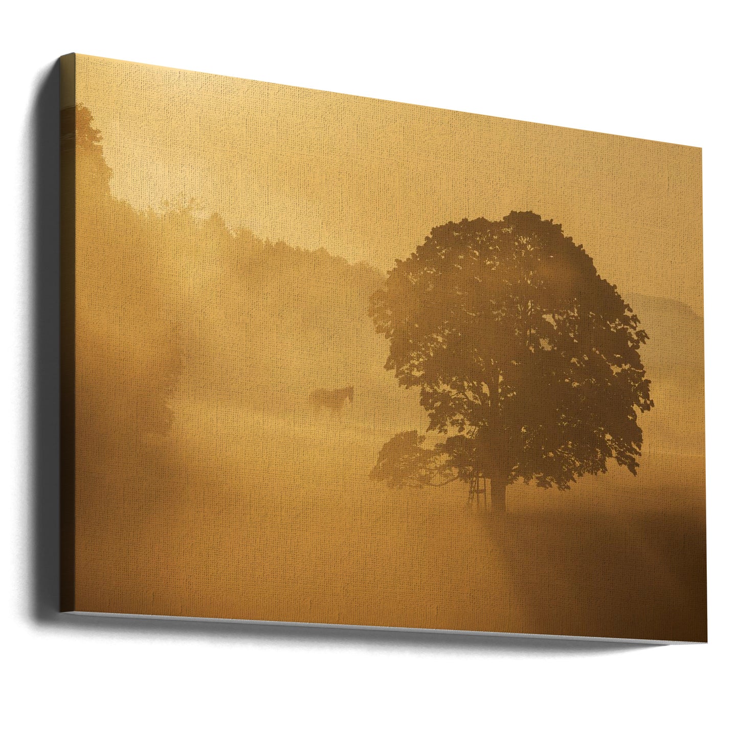 autumn morning | Canvas