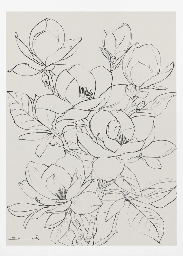 Magnoliaträd | Poster
