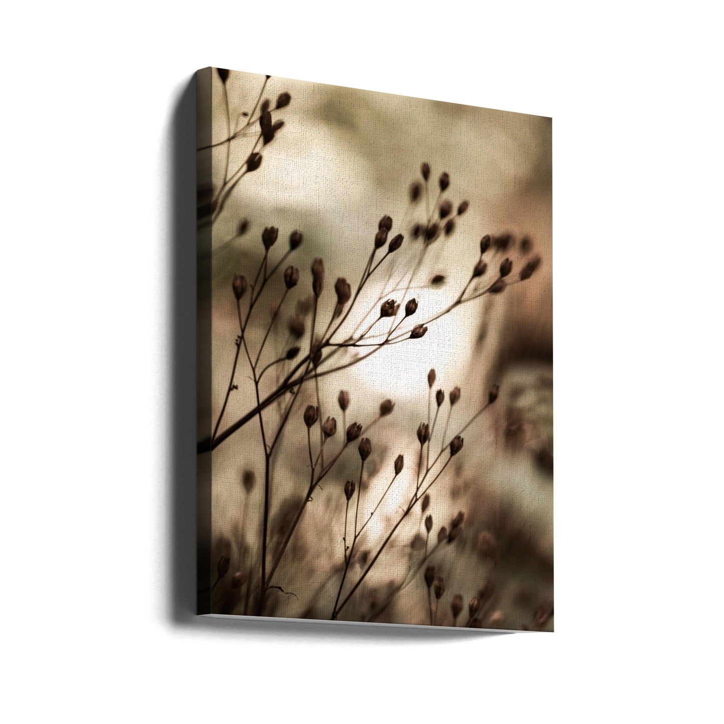 Autumn Lights | Canvas