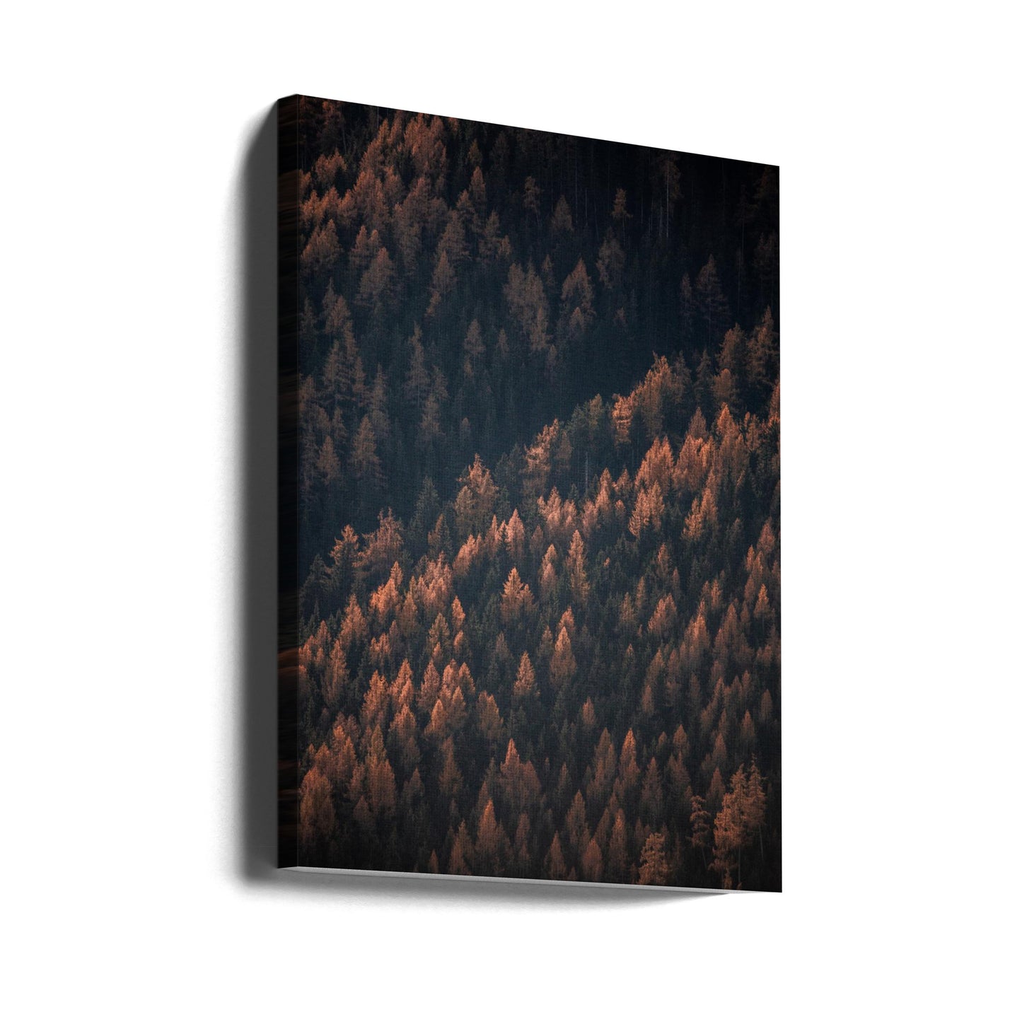 Autumn Woods 2 | Canvas