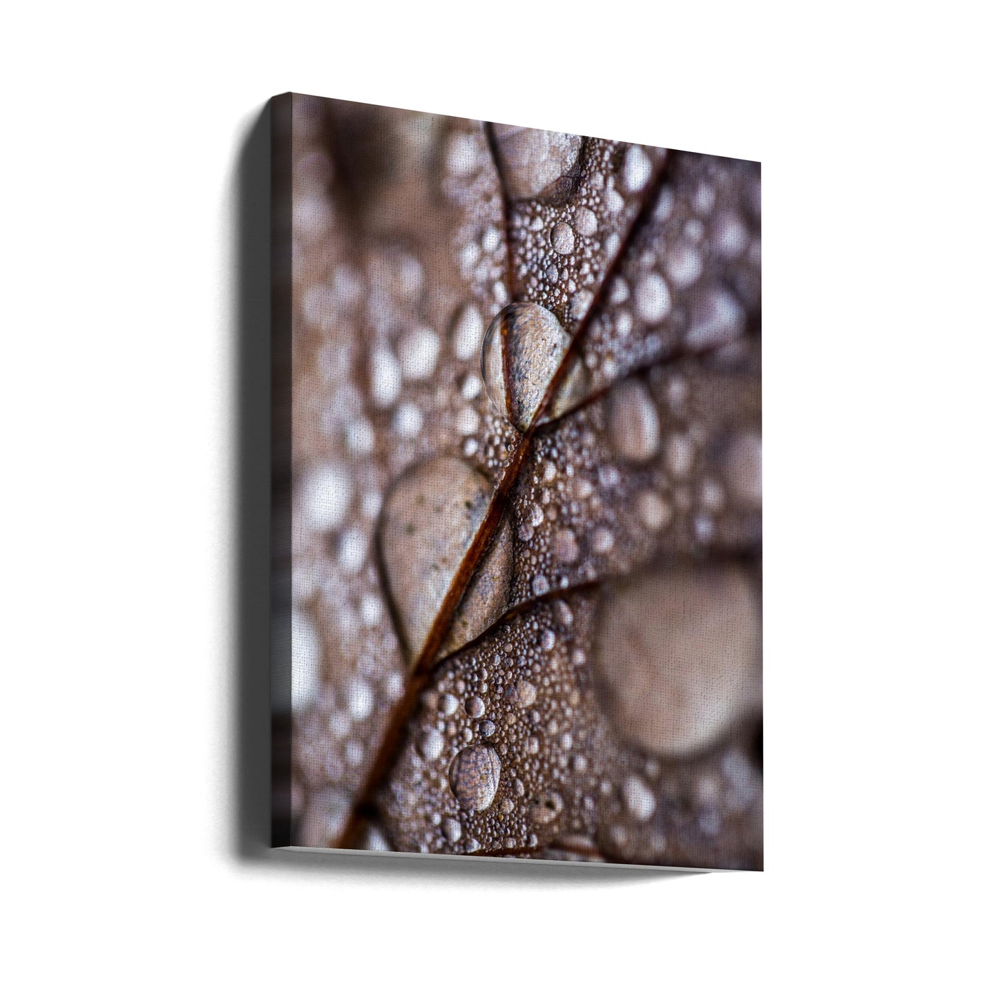 Autumn Rain | Canvas