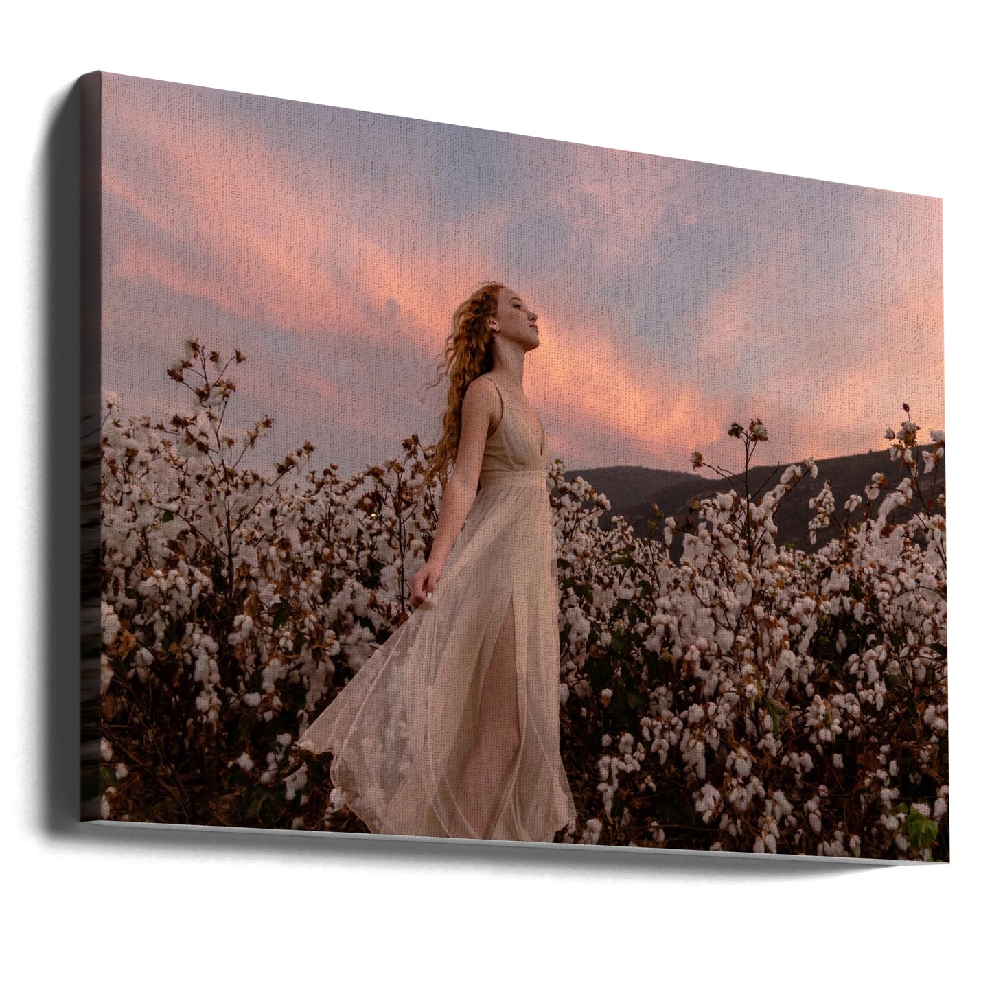 Solnedgång i bomullsfältet | Canvas