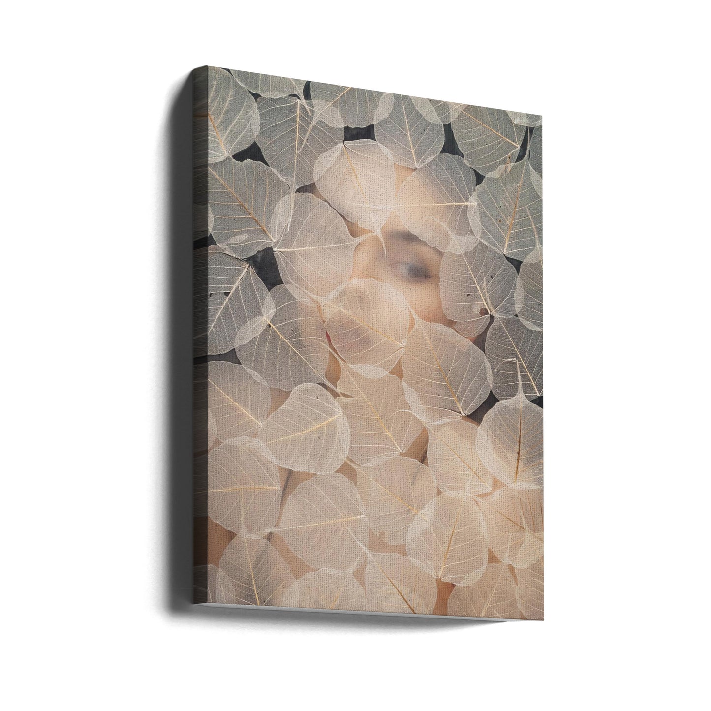 BEHIND GLASS | Canvas
