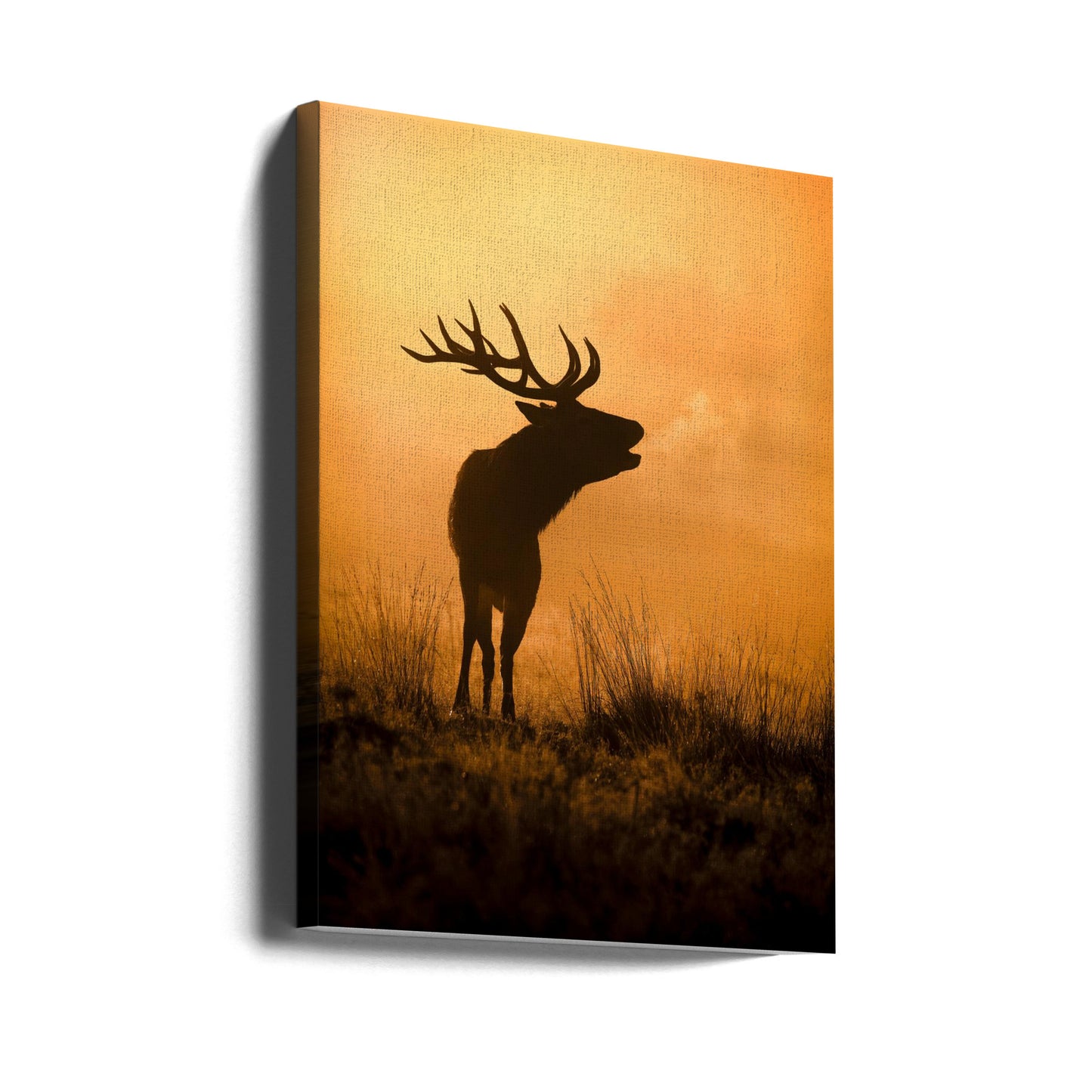 Morgonrop | Canvas