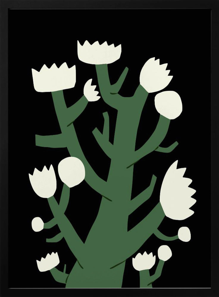 Nattlig vit blomma | Poster