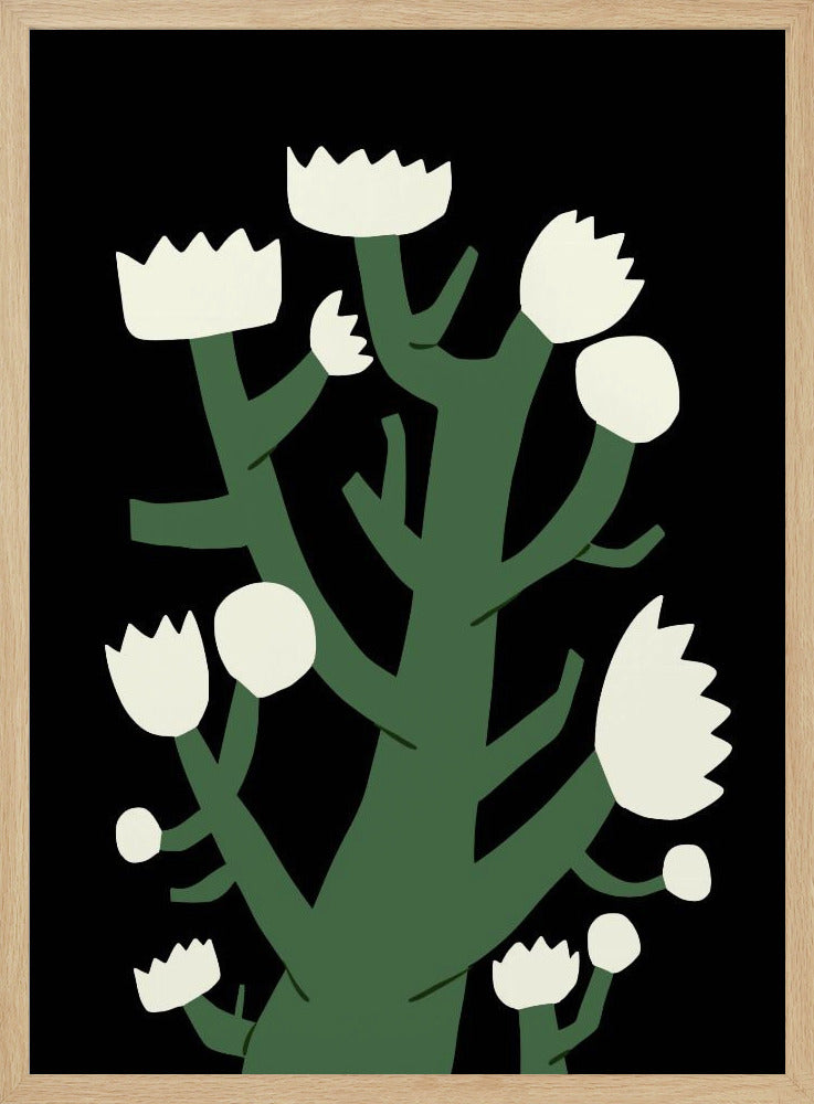 Nattlig vit blomma | Poster