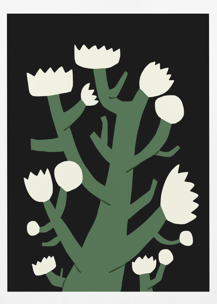 Nattlig vit blomma | Poster