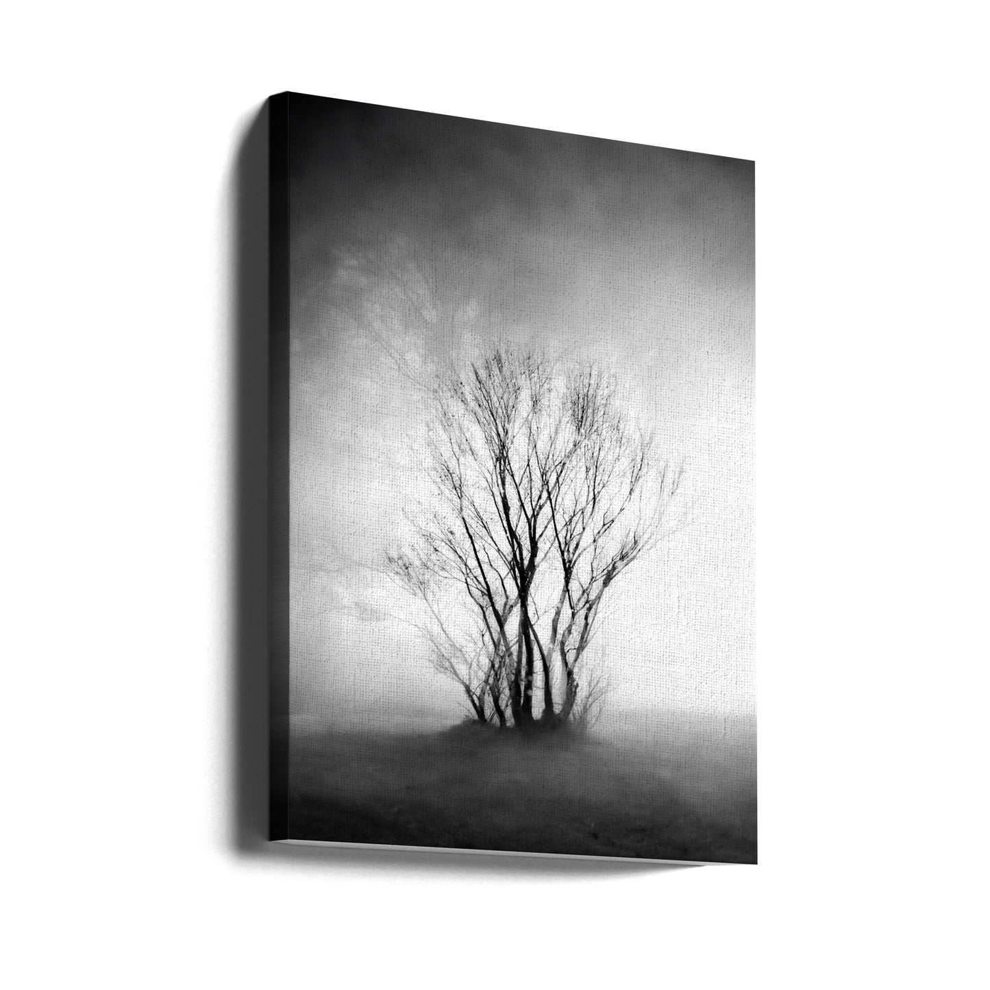naken | Canvas