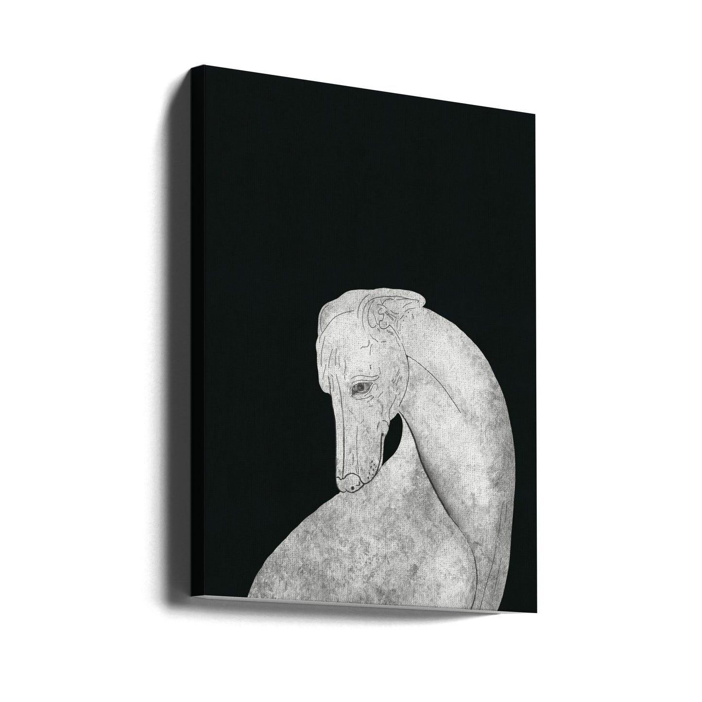Greyhound black and white | Canvas