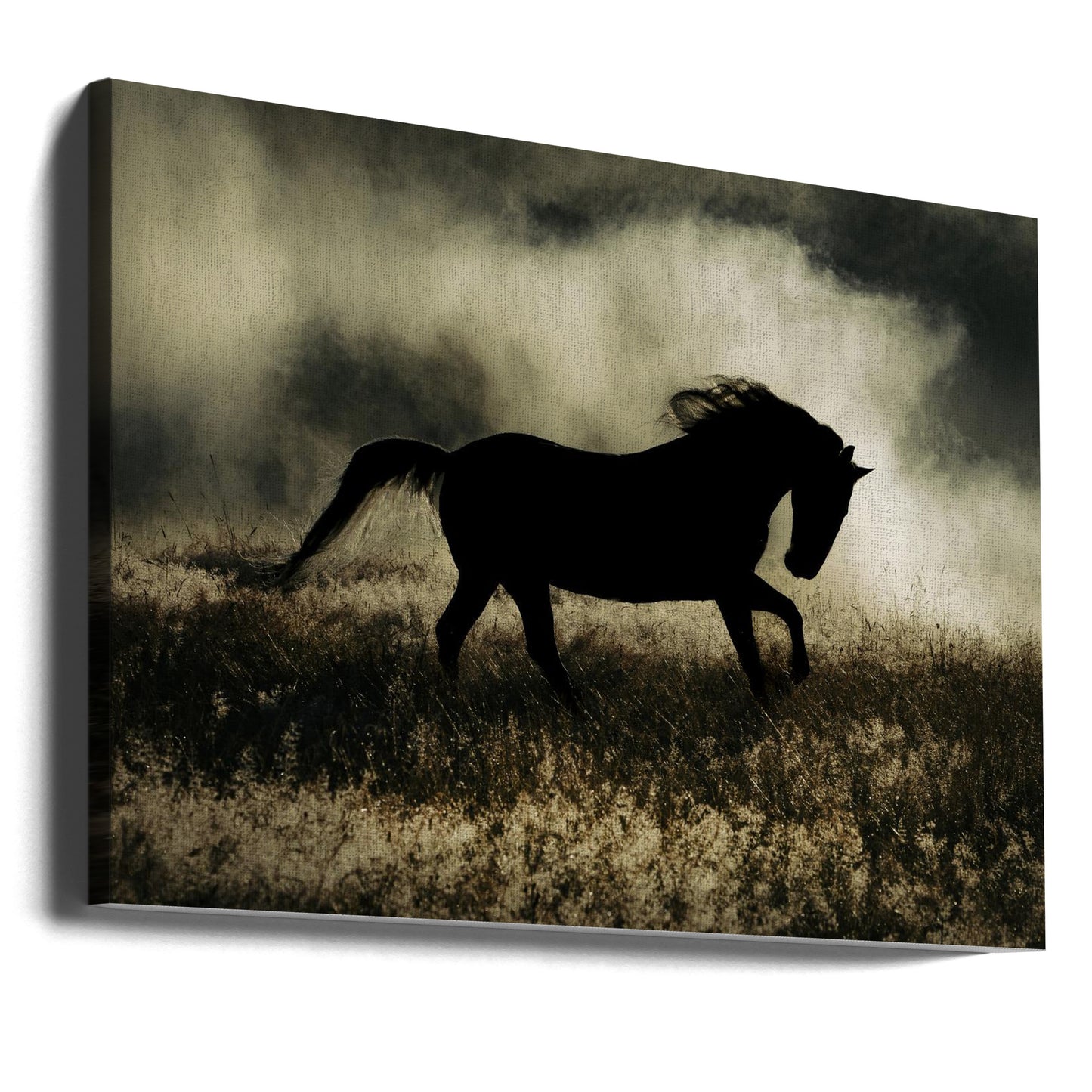 en novell om morgonglorian | Canvas